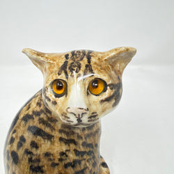 Winstanley Bengal Tabby Cat Size 2