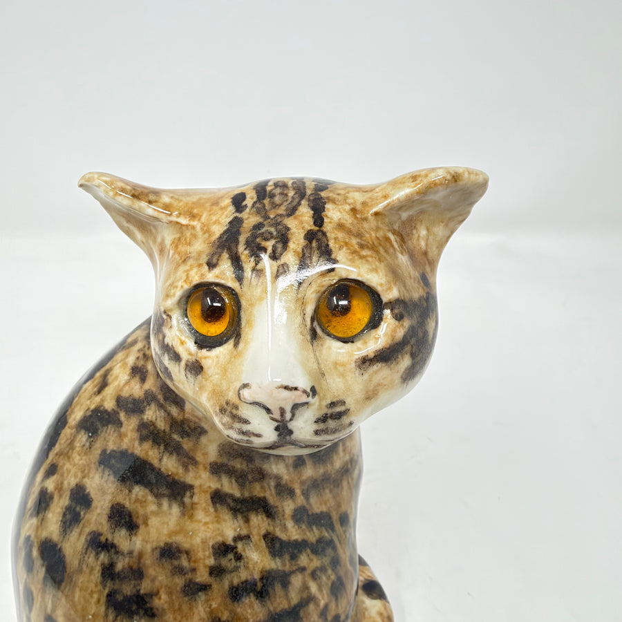Winstanley Bengal Tabby Cat Size 2