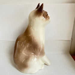 Winstanley Cat - Size 6