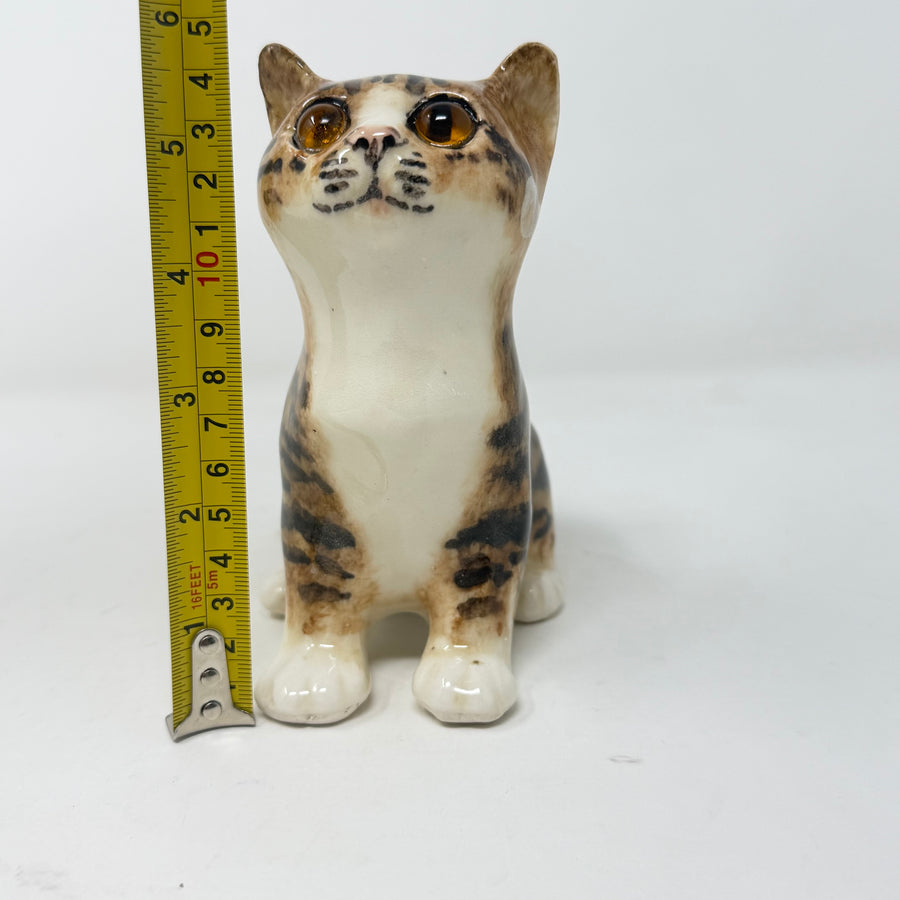 Winstanley Tabby & White Cat Looking Up Size 2