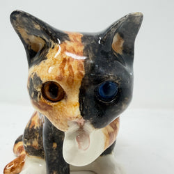 Winstanley Tortie Cat Licking Paw - Size 3