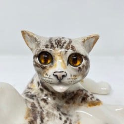 Winstanley Interrupted Cat - Size 3