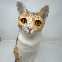 Winstanley Calico Cat Sitting - Size 7