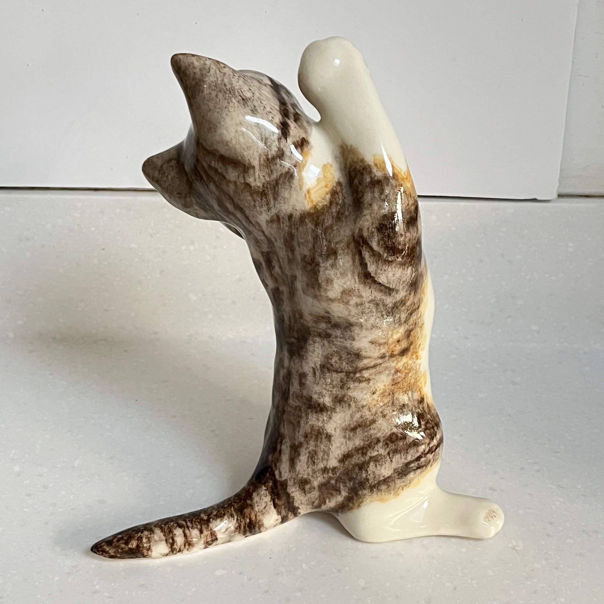 Winstanley Tabby Cat Dancing - Size 4
