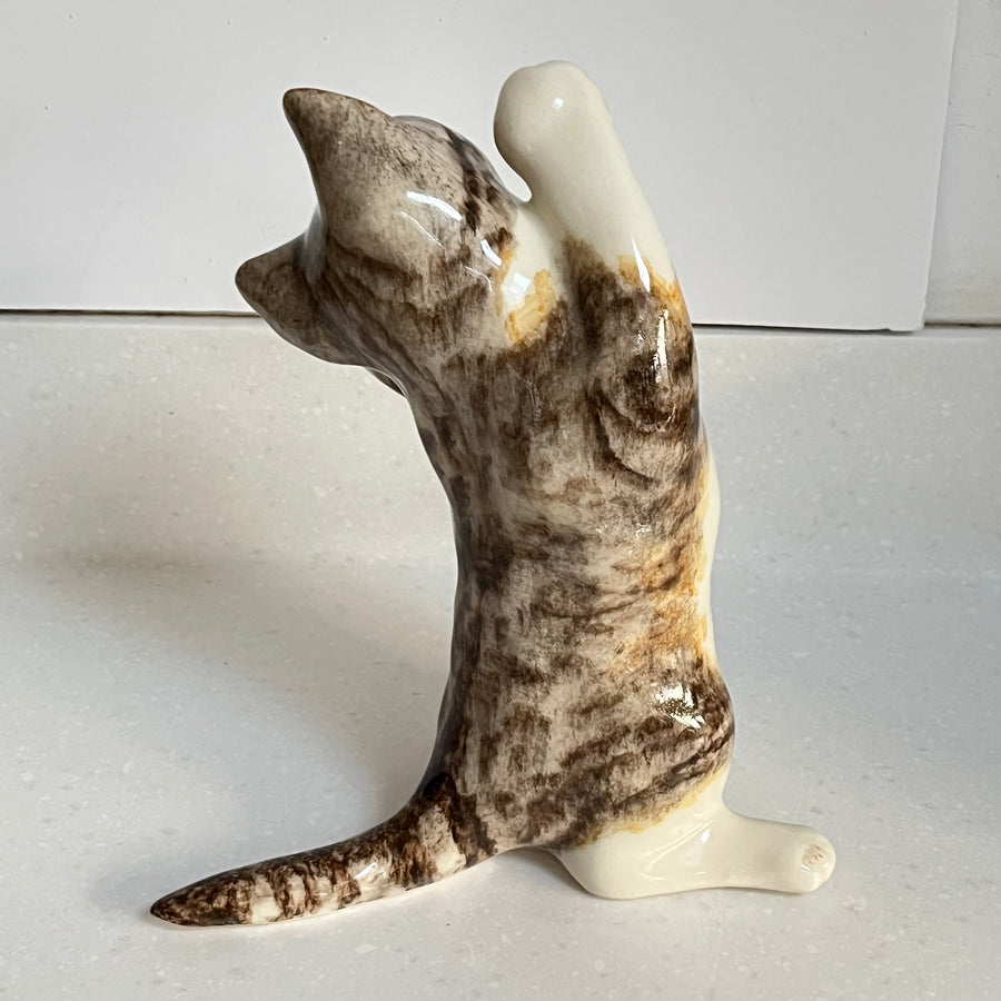 Winstanley Tabby Cat Dancing - Size 4