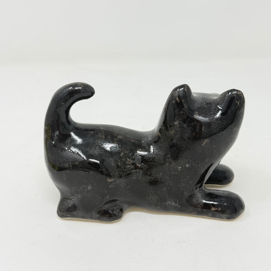 Winstanley Black & White Playful Cat - Size 1