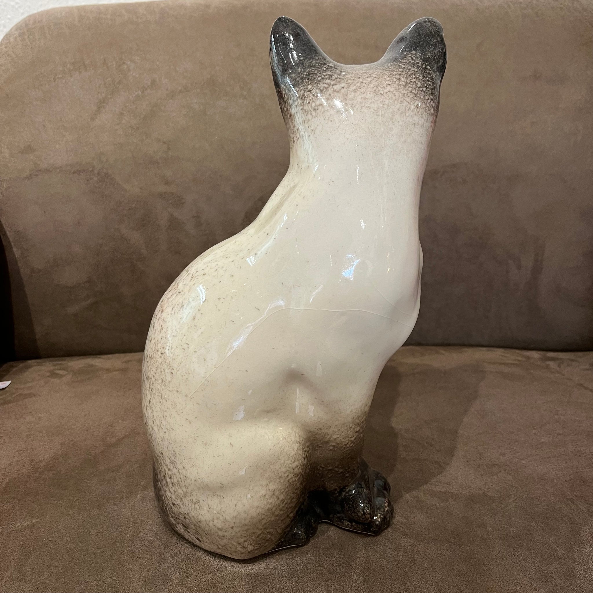 Winstanley Chocolate Point Siamese Cat - Size 5 - reduced price
