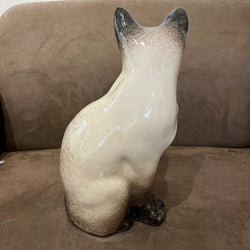 Winstanley Chocolate Point Siamese Cat - Size 5 - reduced price