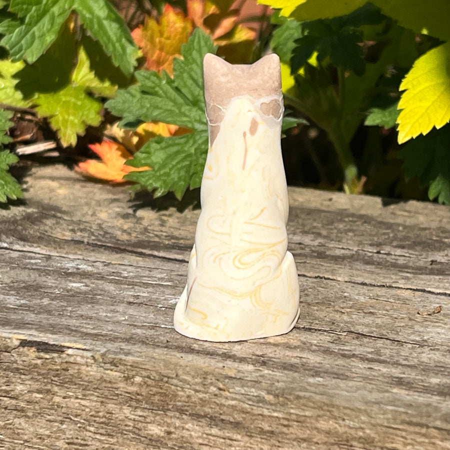 Tiramisu Original Lucky Kitten