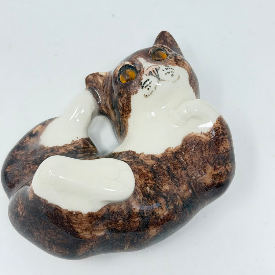 Winstanley Brown & White Playful Cat Size 2