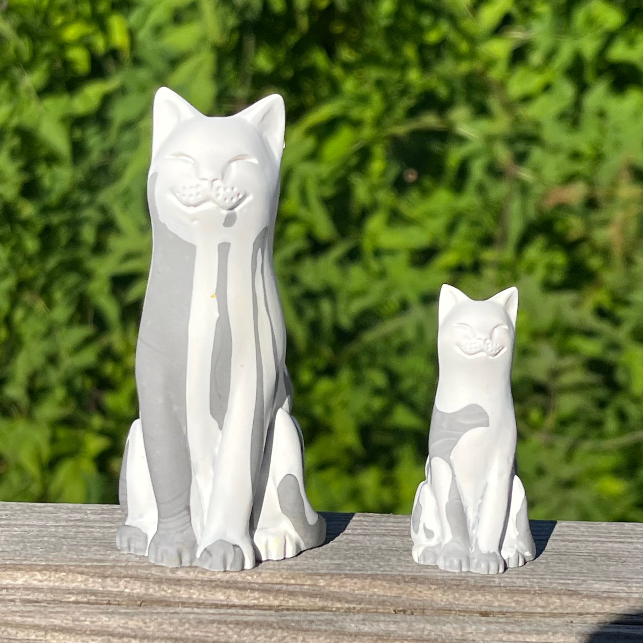 Moggie Melts Lucky Kitten