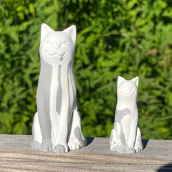 Moggie Melts Lucky Kitten