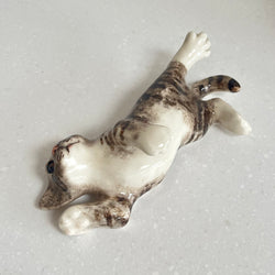 Winstanley Playful Grey and White Cat - Size 2