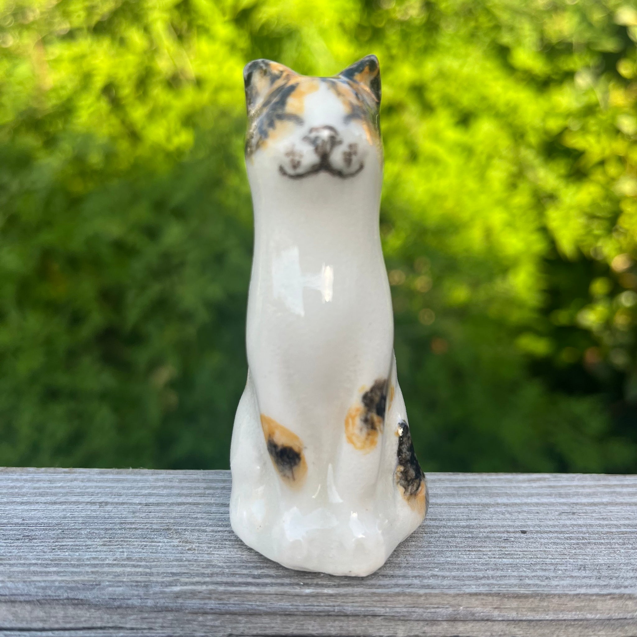 Winstanley Original Lucky Cat #8