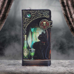 A gothic-themed purse standing upright on a stone surface, flanked by dark draped curtains. The case features a detailed illustration of a black cat, a green bottle, a goblet of green liquid, a crescent moon, and a skull-and-crossbones emblem.