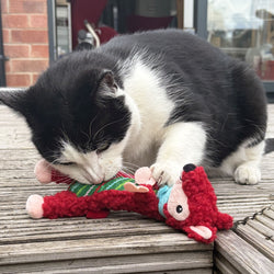 A black and white cat playing with a red plush festive toy on a wooden deck.
