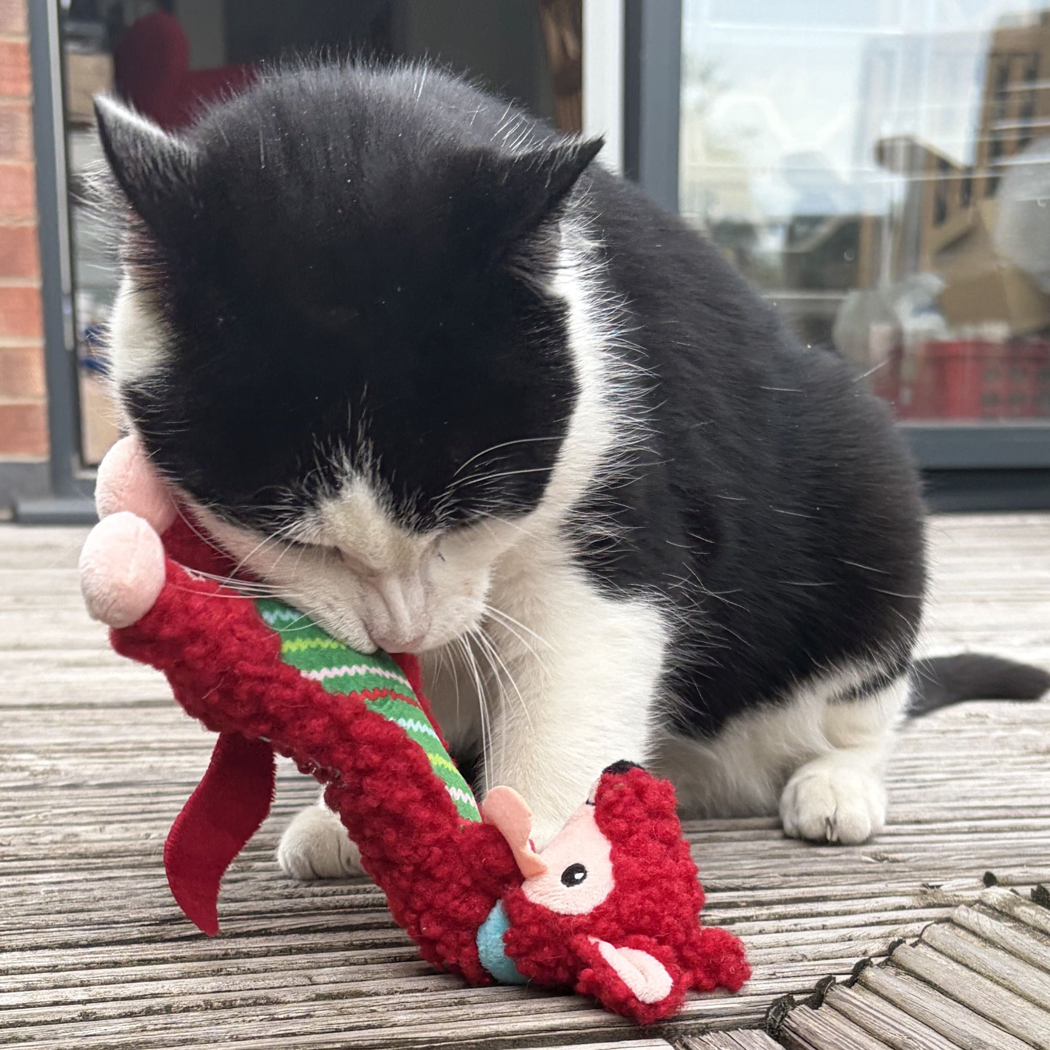 KONG Cat Luvs Festive Fox