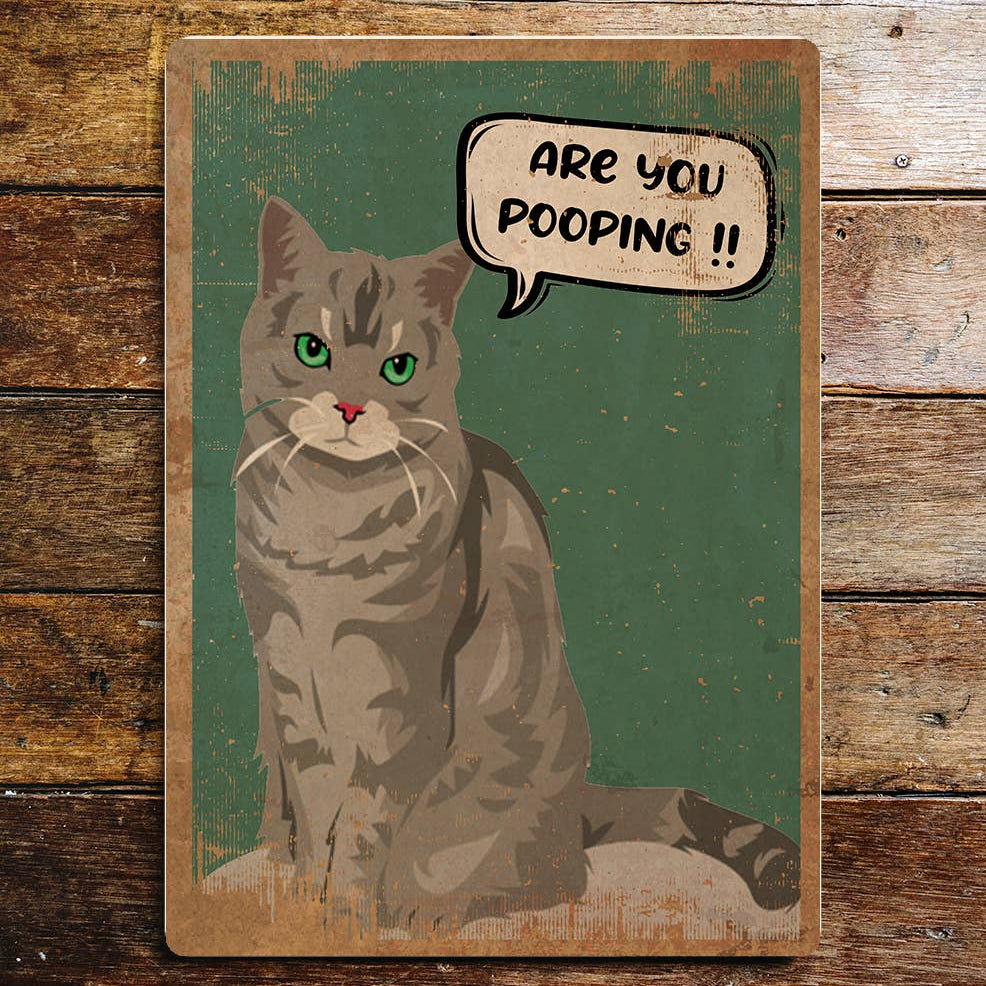 Are you Pooping Cat Funny Metal Sign