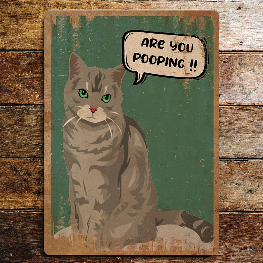 A rectangular vintage-style sign featuring an illustrated grey cat with green eyes and a speech bubble that reads “ARE YOU POOPING !!” 