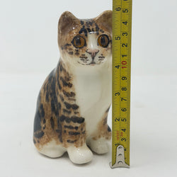 Winstanley Bengal / Tabby Cat Sitting Up - Size 1