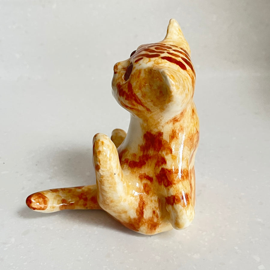 Winstanley Interrupted Ginger Cat - Size 2