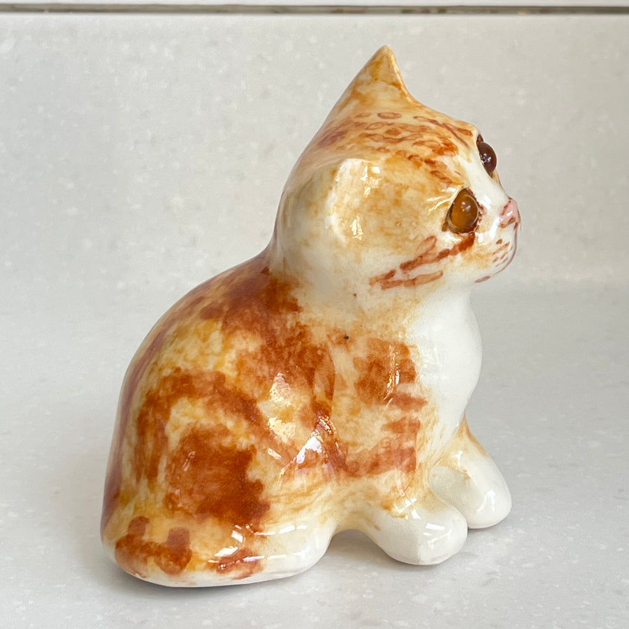 Winstanley Ginger Kitten - Size 1