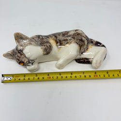 Winstanley Tabby & White Covering Eye - Size 3