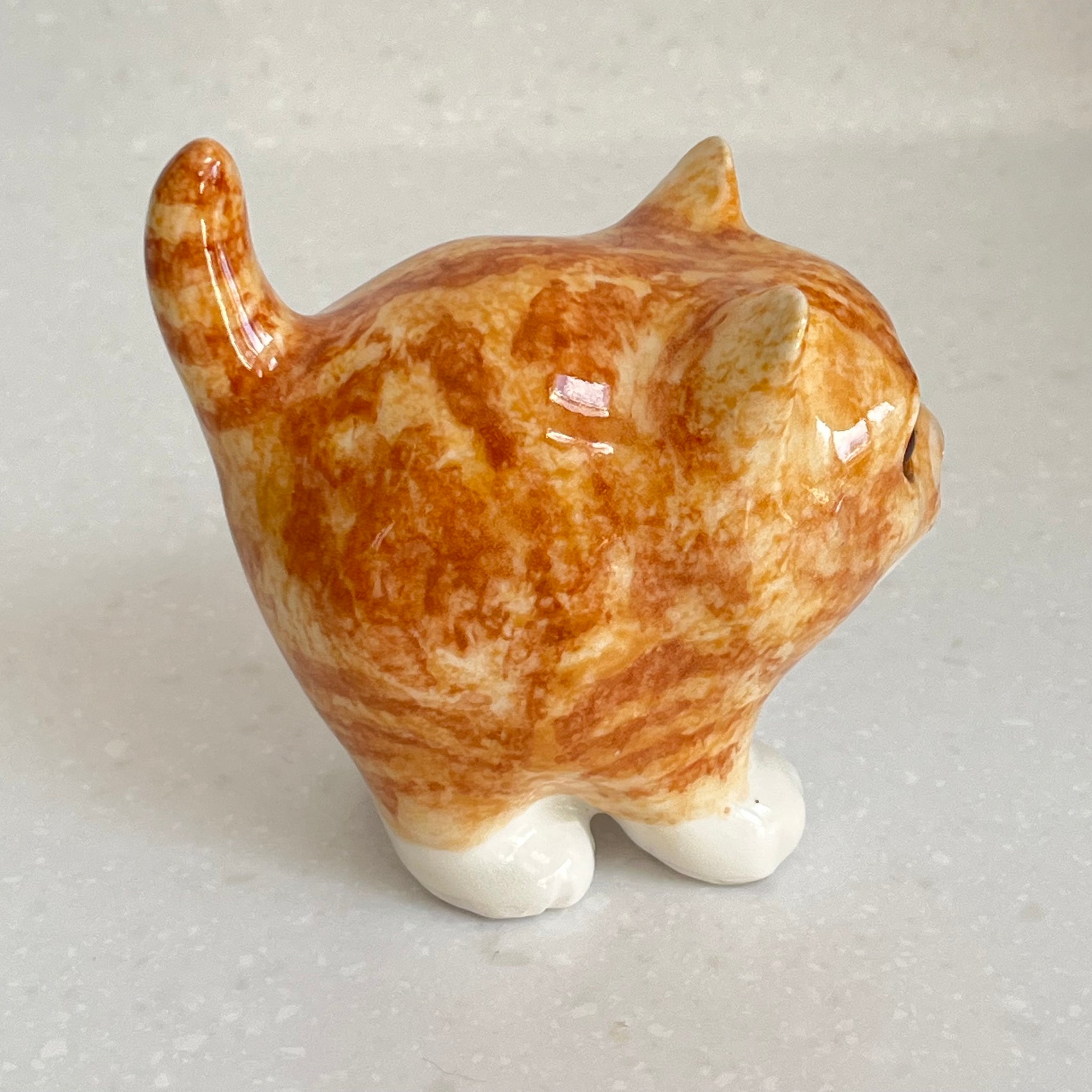 Winstanley Chubby Ginger Kitten - Size 1