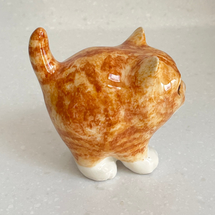 Winstanley Chubby Ginger Kitten - Size 1
