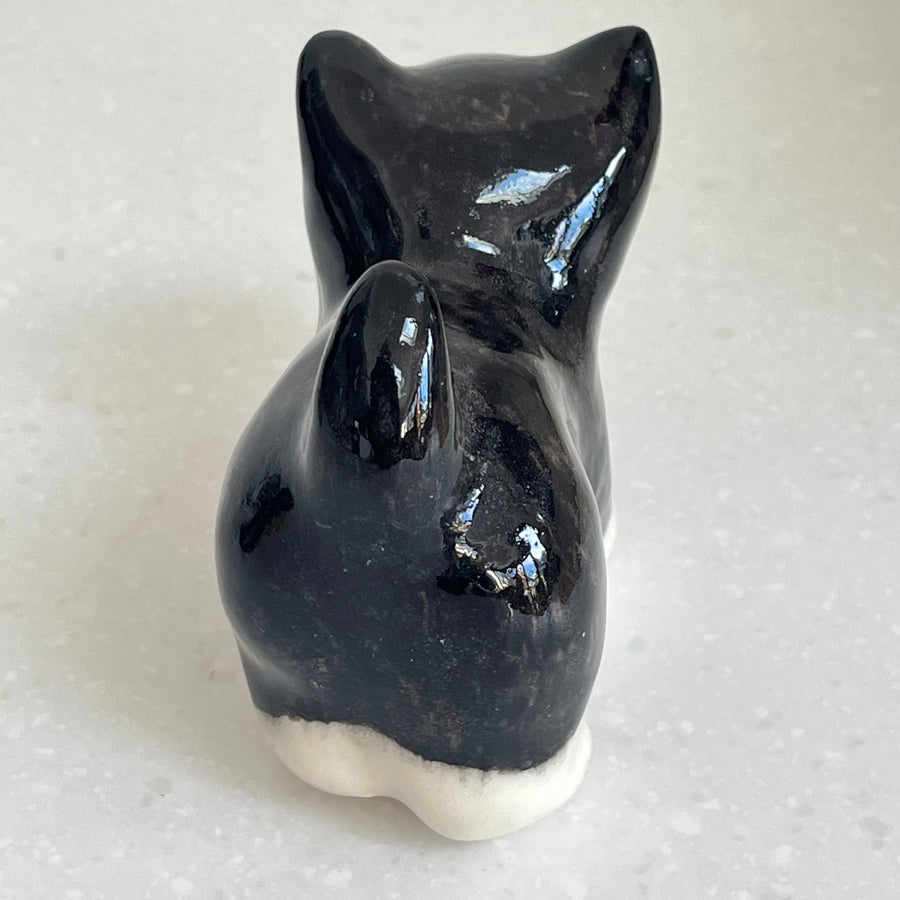 Winstanley Black & White Kitten - Size 1