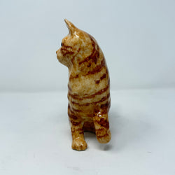 Winstanley Unusual Ginger Cat - Size 3