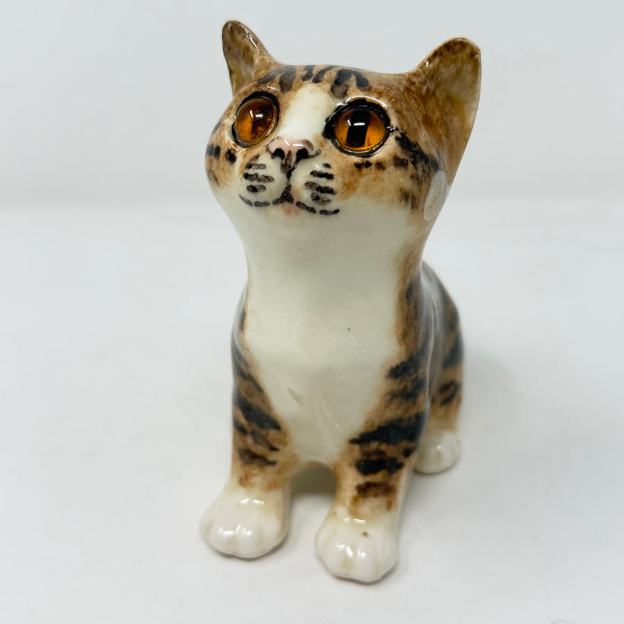 Winstanley Tabby & White Cat Looking Up Size 2