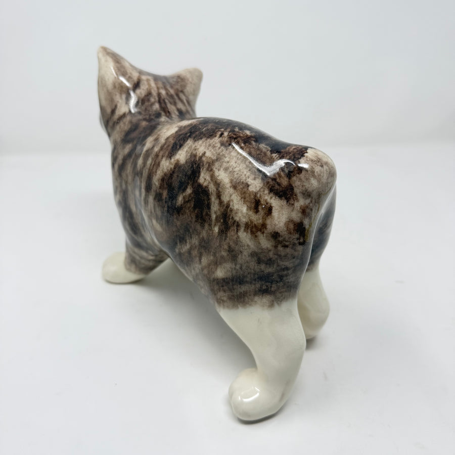 Winstanley Grey & White Manx Cat - Size 5
