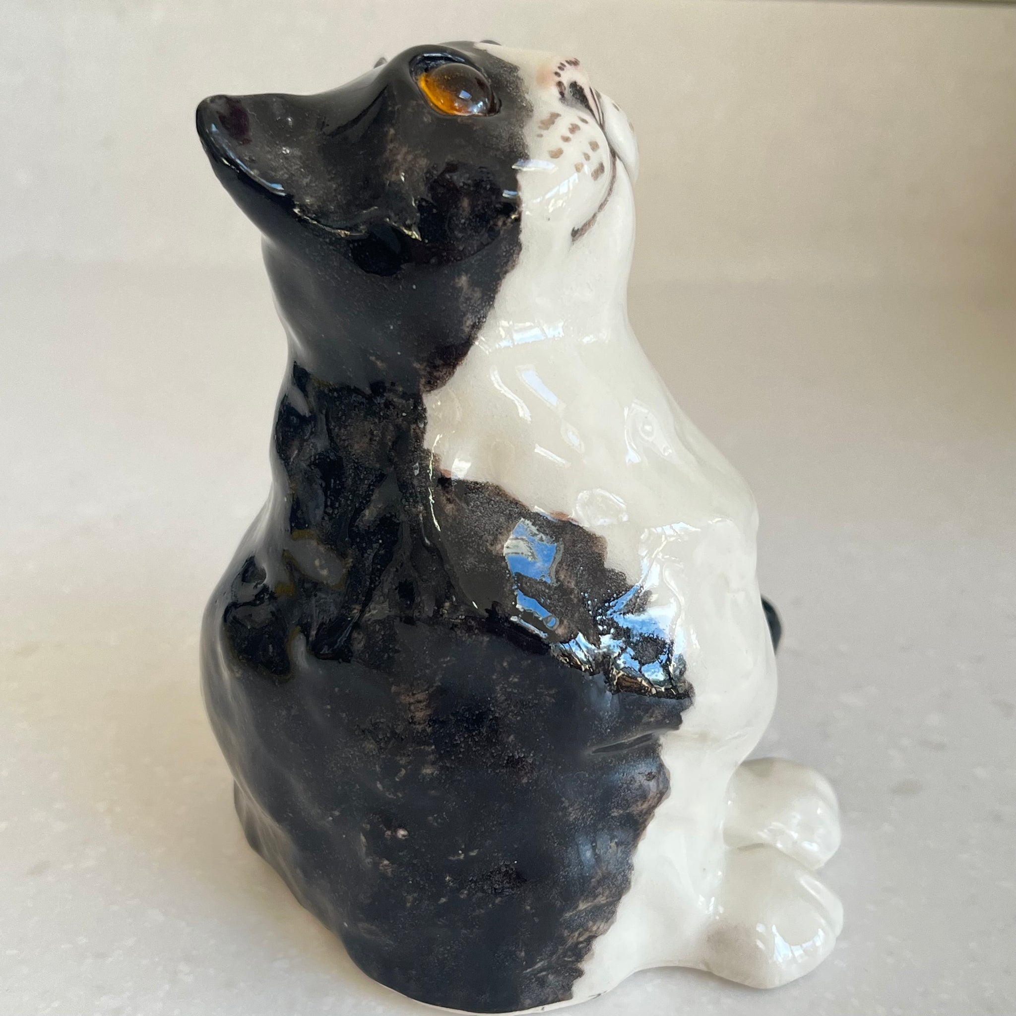 Winstanley Black and White Kitten - Size 1