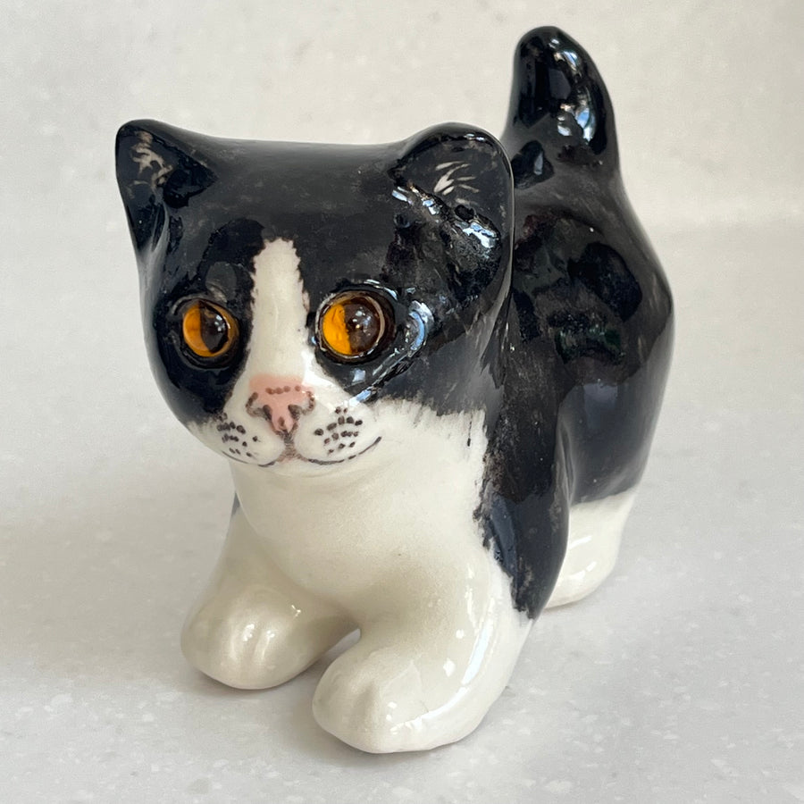 Winstanley Black & White Kitten - Size 1