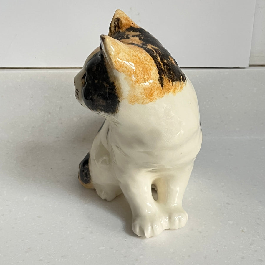Winstanley Tortoiseshell Cat Sitting Up - Size 4