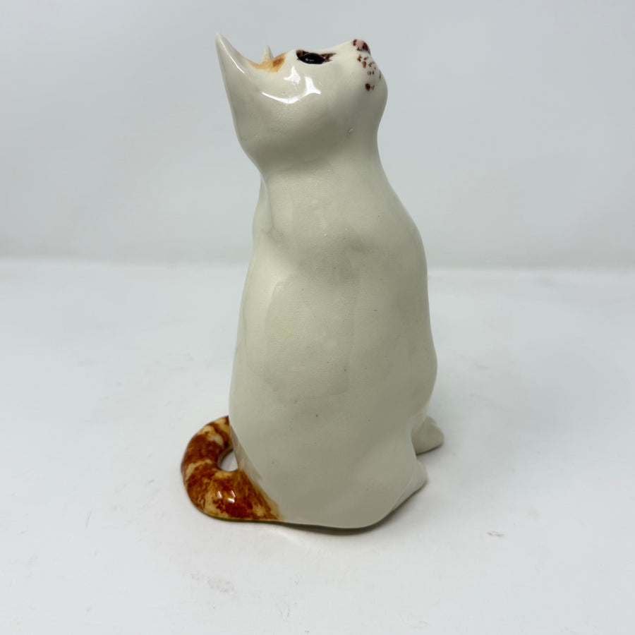 Winstanley White and Ginger Cat Size 2