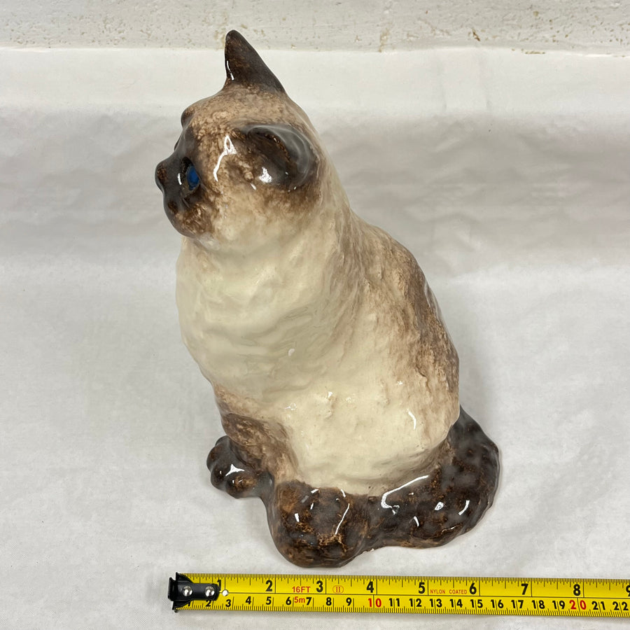 Winstanley Birman / Ragdoll Cat - Size 4