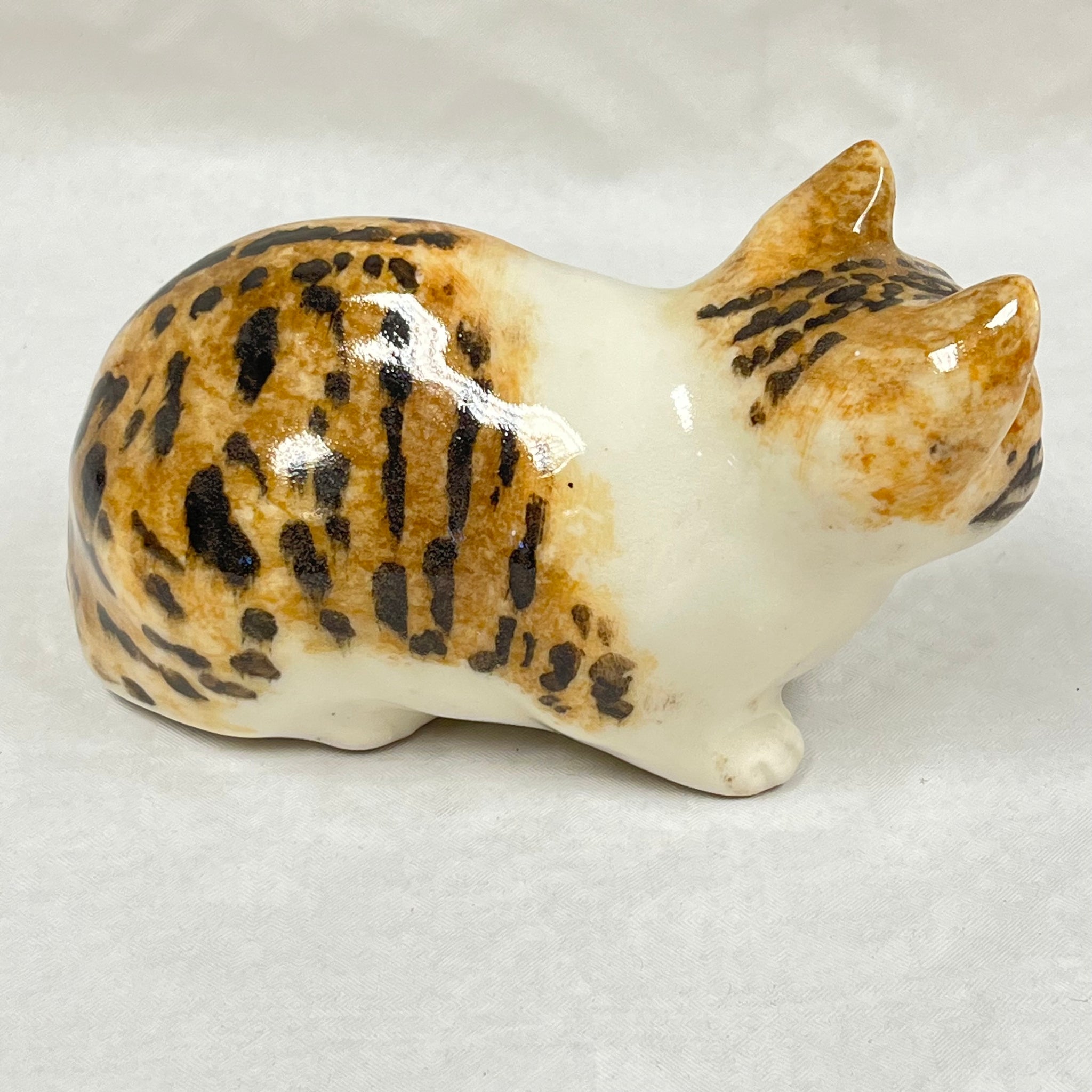 Winstanley Tortie & White Cat Crouching - Size 2