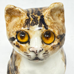 Winstanley Long Haired Tabby & White Cat - Size 1