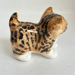 Winstanley Bengal Kitten - Size 1
