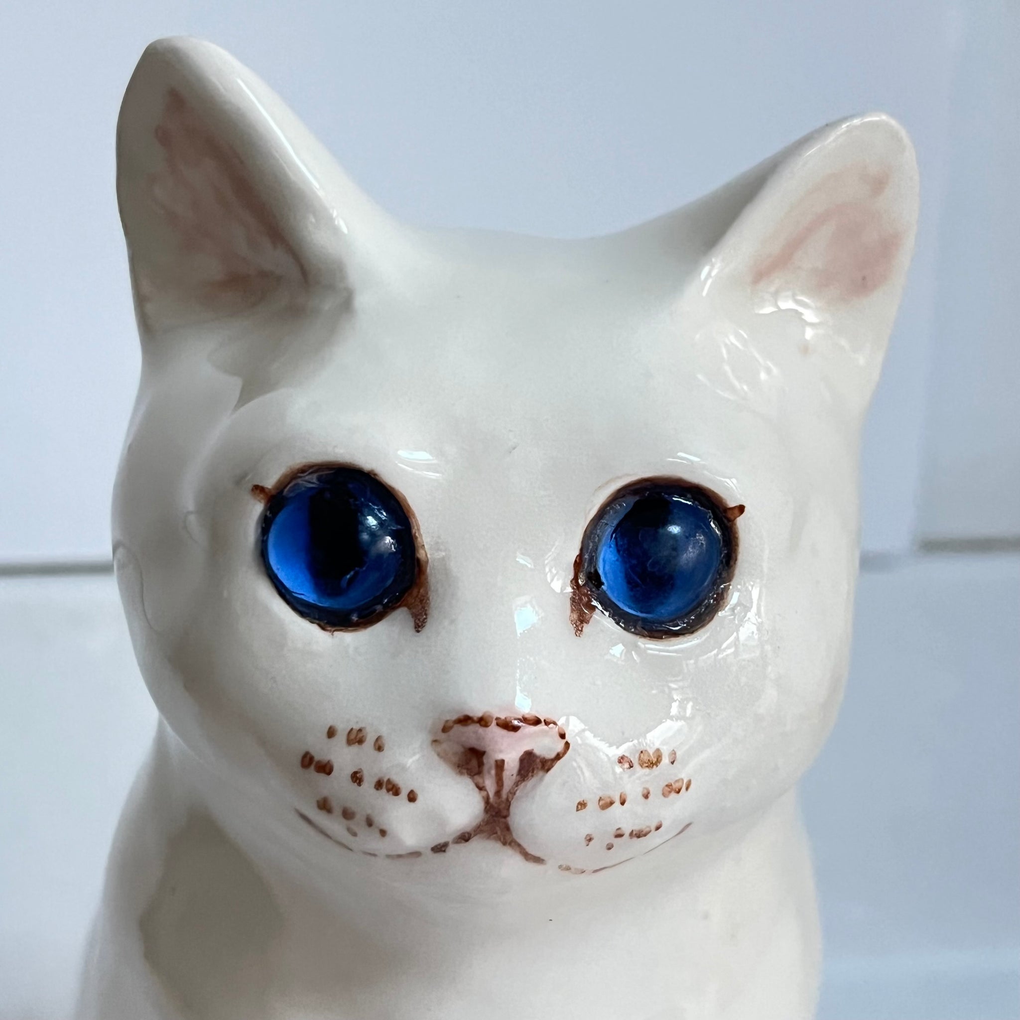 Winstanley White Cat, Blue Eyes - Size 3