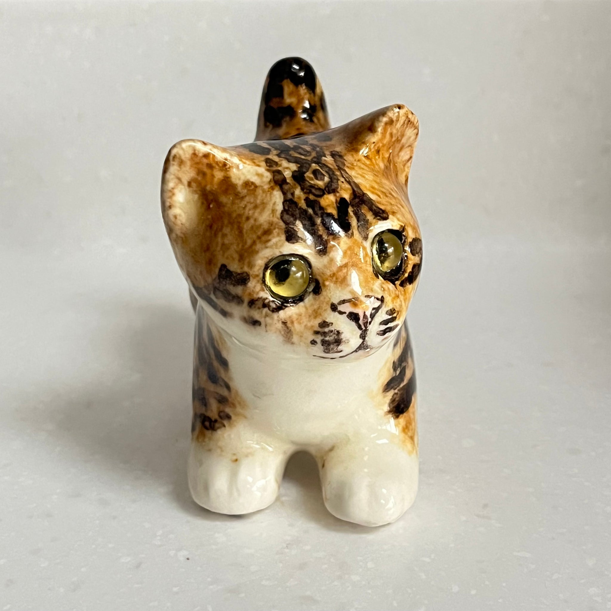 Winstanley Bengal Kitten - Size 1