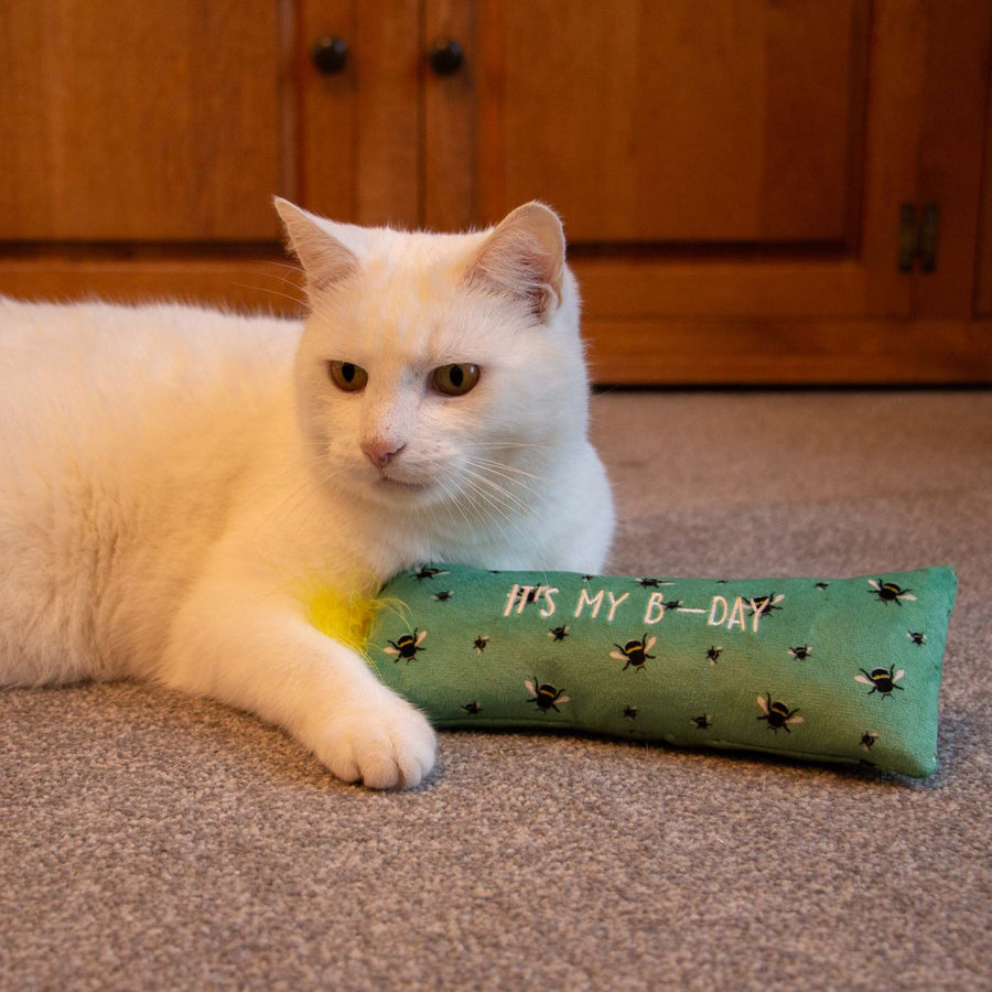 B-Day Cat Kicker Toy