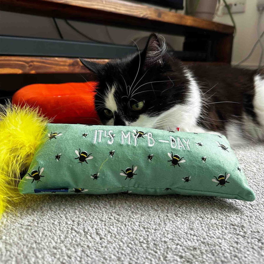 B-Day Cat Kicker Toy