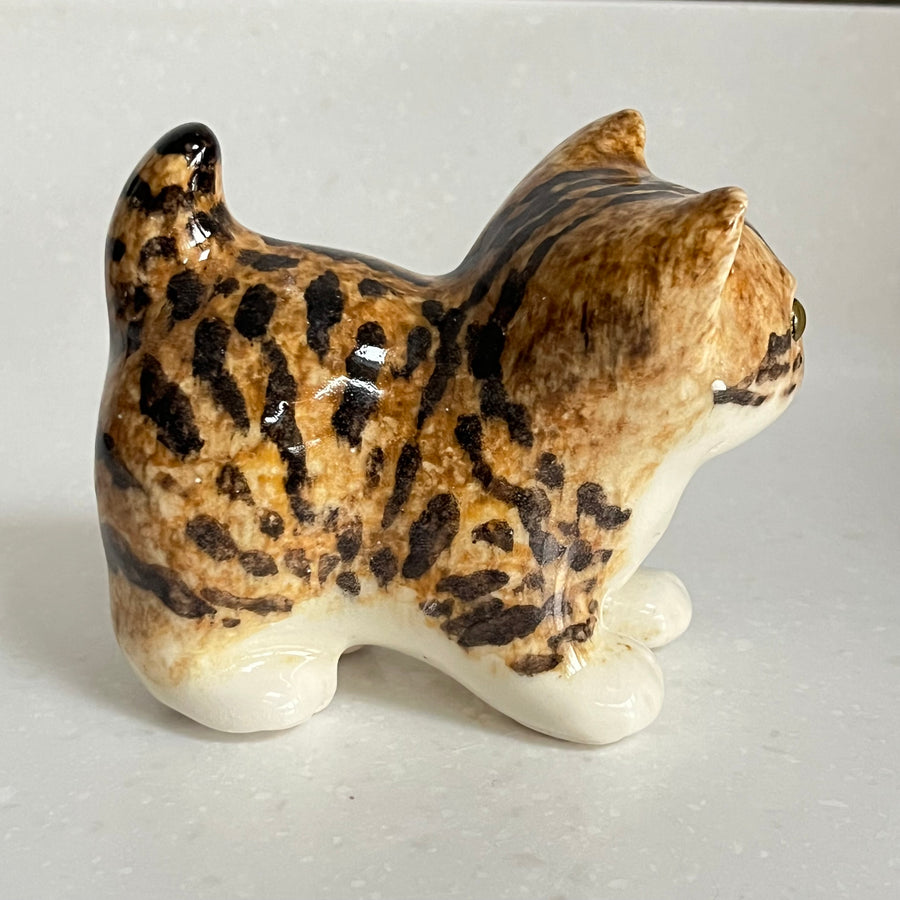 Winstanley Bengal Kitten - Size 1