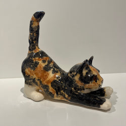 Tortie Winstanley Cat - Size 3