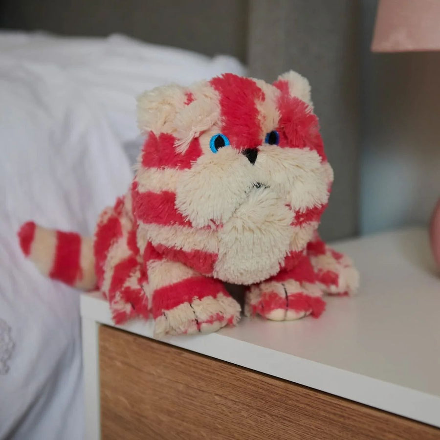 Microwavable Cuddle Bagpuss Cat