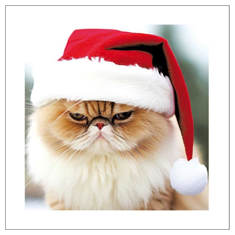 Bah Humbug Christmas Card