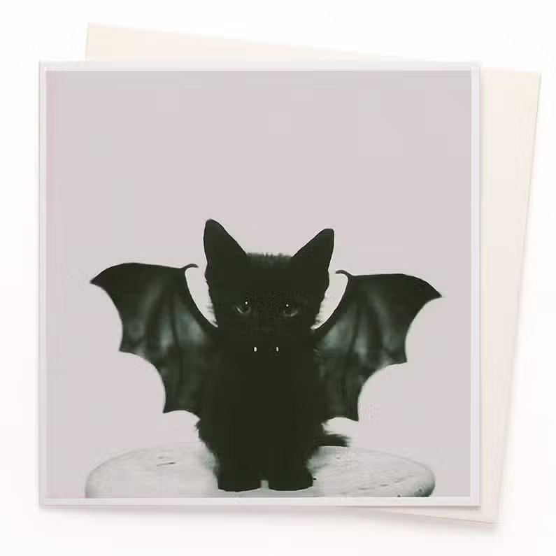 Bat Kitten Cat Greetings Card